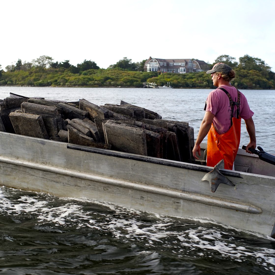 OYSTER FARM TOURS Matunuck Oyster Bar